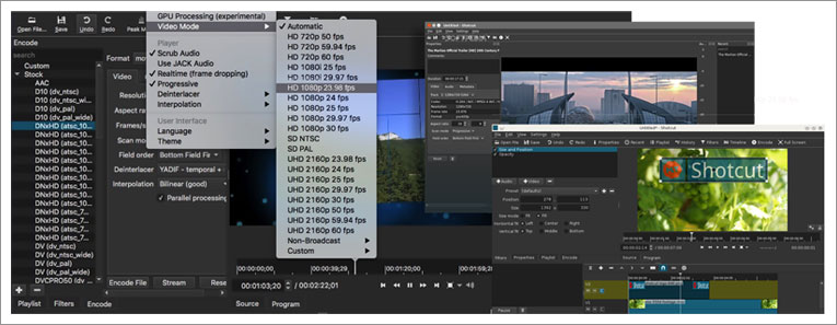 菜单中的 Video Mode 与 GPU 处理模式选项